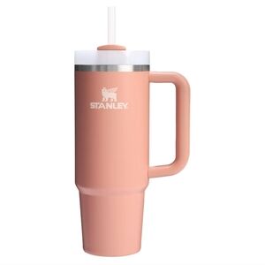 NWT Exclusive Sienna Stanley Quencher